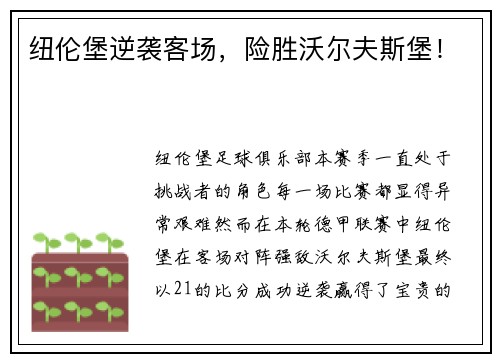 纽伦堡逆袭客场，险胜沃尔夫斯堡！